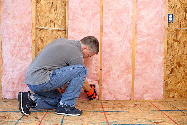 Best Blown-In Insulation  in Nice, CA